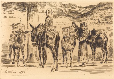Hojas de Anes del Midi de Felix Hilaire Buhot