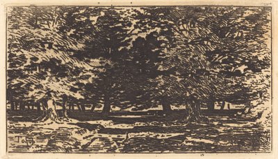 Bosque de Felix Hilaire Buhot