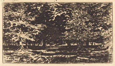 Bosque de Felix Hilaire Buhot