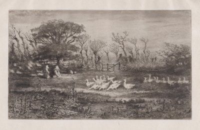 Gansos, 1860-98 de Felix Hilaire Buhot