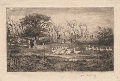 Gansos, 1887 de Felix Hilaire Buhot