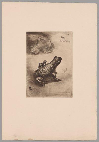 Japonismo de Felix Hilaire Buhot