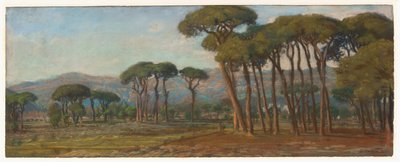 Paisaje extenso con un pueblo y colina en la distancia de Felix Hippolyte Lanoue