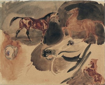 Estudio de caballos de Ferdinand Victor Eugene Delacroix