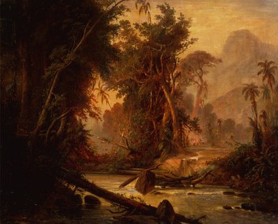 Un bosque tropical en Venezuela (óleo sobre lienzo) de Ferdinand Bellermann