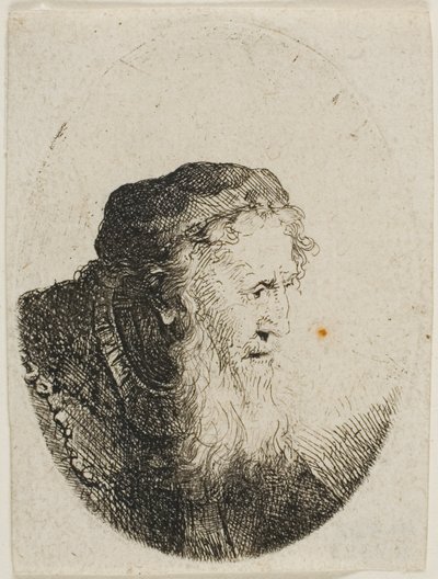 Anciano barbudo con gorro de calavera de Ferdinand Bol