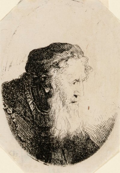 Anciano con barba ondulante de Ferdinand Bol