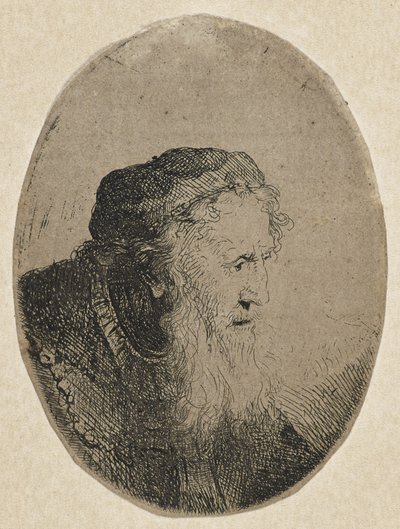 Sin título, c.1640 de Ferdinand Bol