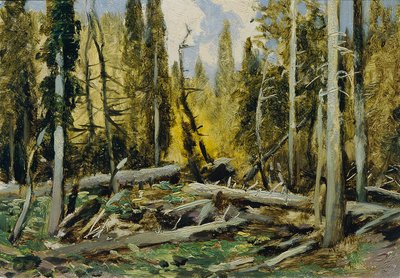 Šumava (del portafolio "16 vistas de paisajes checos 