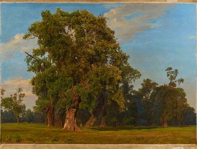 Gran paisaje del Prater de Ferdinand Georg Waldmuller