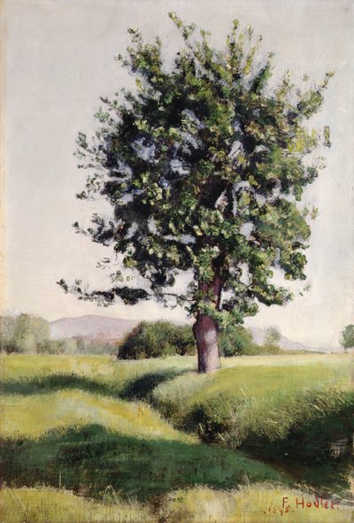 El árbol de Ferdinand Hodler