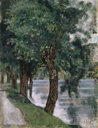 Sauces en el Ródano, c.1885 de Ferdinand Hodler