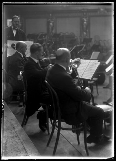 Instrumento de arco del miembro vienés de una orquesta filarmónica de Ferdinand Schmutzer