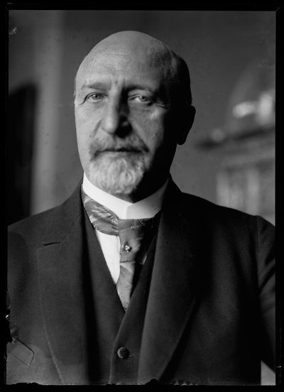 Fotografía de Karl Seitz (1869-1950) de Ferdinand Schmutzer