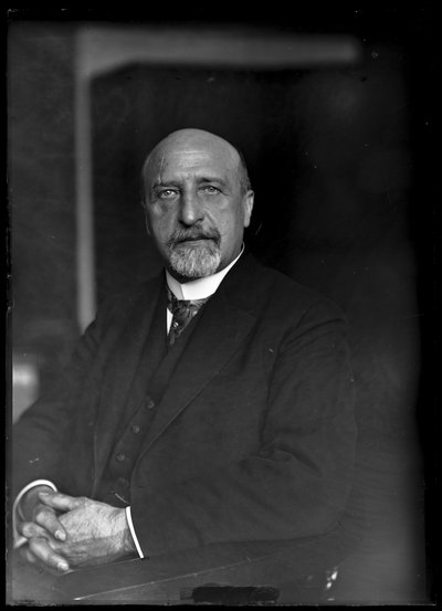Fotografía de Karl Seitz (1869-1950) de Ferdinand Schmutzer