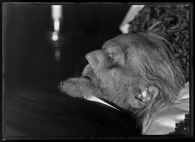 Rodolfo de anticuario (1812-1905) en el lecho de muerte de Ferdinand Schmutzer