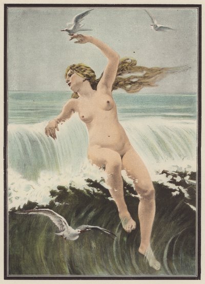 Olas y gaviotas (litografia en color) de Ferdinand Victor Eugene (after) Delacroix