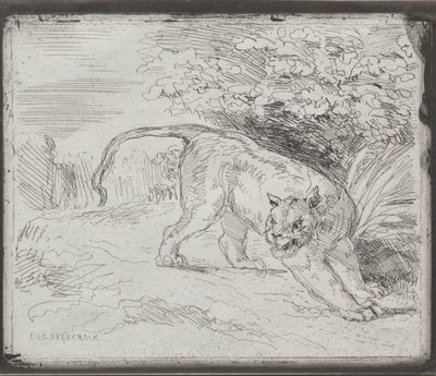Un Tigre Atrapado, 1854 de Ferdinand Victor Eugene Delacroix