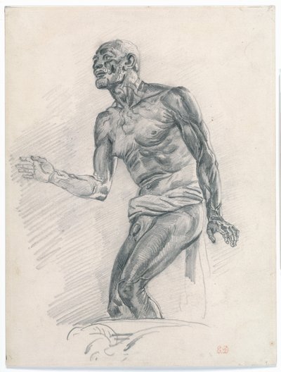 Estudio de un desnudo masculino: Estudio para 