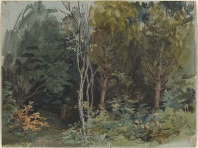 El borde de un bosque en Nohant, c. 1842-1843 (acuarela) de Ferdinand Victor Eugene Delacroix