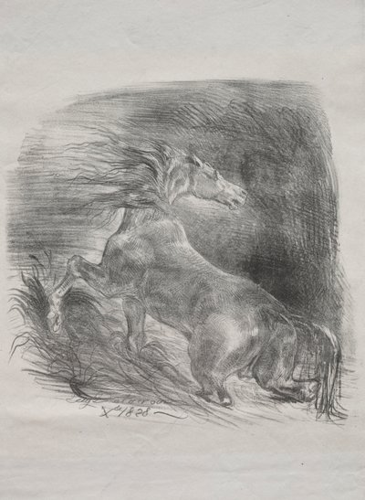 El Caballo Salvaje, o Caballo Asustado Saliendo del Agua, 1828 de Ferdinand Victor Eugene Delacroix