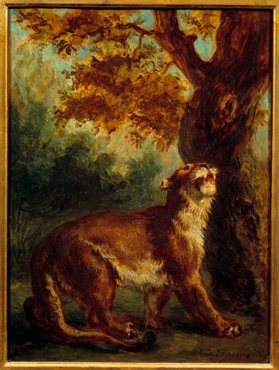 El puma también dice leona al acecho de una presa de Ferdinand Victor Eugene Delacroix