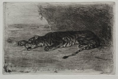 Tigre acostado a la entrada de su guarida de Ferdinand Victor Eugene Delacroix