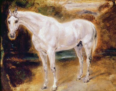 Caballo Blanco de Ferdinand Victor Eugene Delacroix