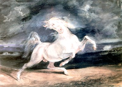 Caballo blanco, siglo XIX de Ferdinand Victor Eugene Delacroix