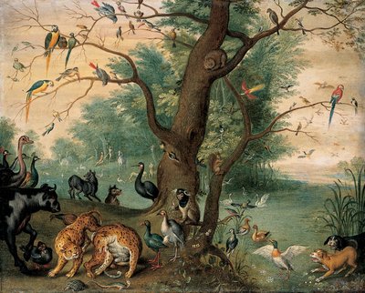 Animales y aves en el Jardín del Edén de Ferdinand van Kessel