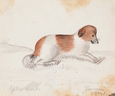 Perro de Ferdinand von Wright