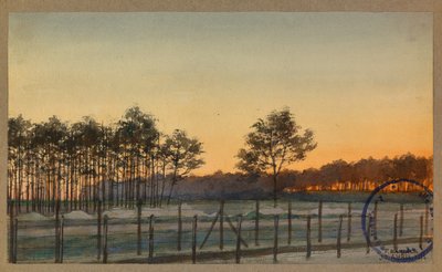 Vista del Bois des Sapins de Fernand Barbier