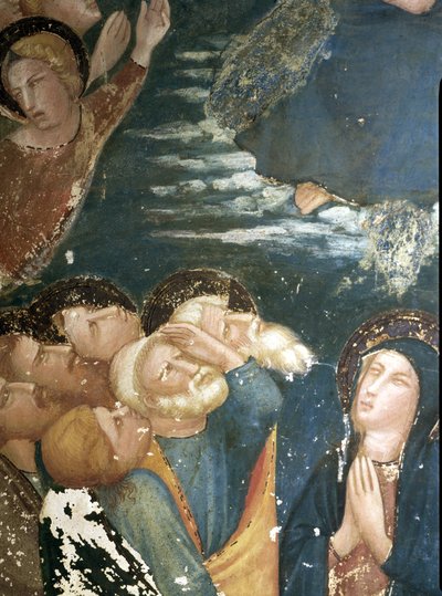  de Ferrer Bassa