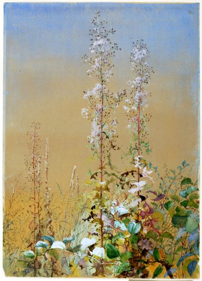 Sin título, ca. 1876 de Fidelia Bridges