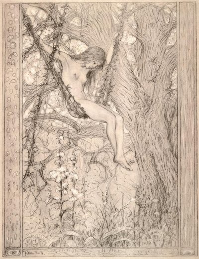 Columpio de lianas de Fidus