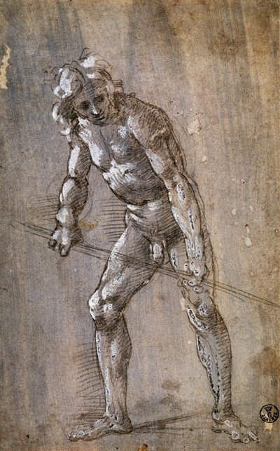 Figura masculina de Filippino Lippi