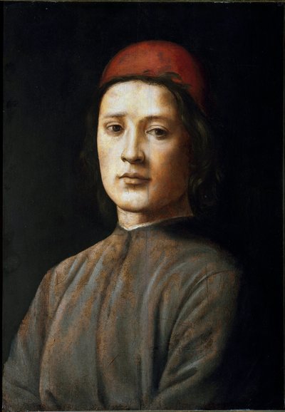 Retrato de un joven con sombrero rojo de Filippino Lippi