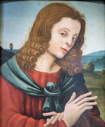 San Juan Evangelista, seguidor de Filippino Lippi (óleo sobre madera) de Filippino Lippi