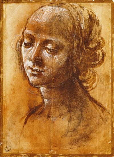 Figura femenina, por Filippino Lippi de Filippino Lippi