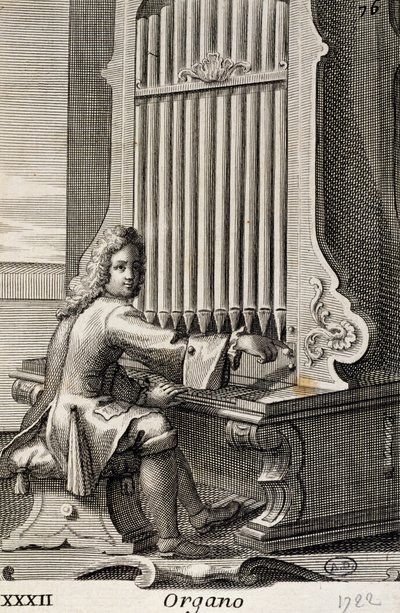 Hombre tocando el órgano de Filippo Bonanni