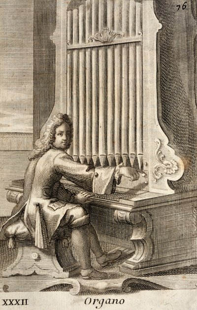 Hombre tocando el órgano de Filippo Bonanni