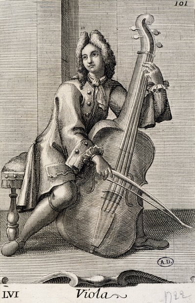 Hombre tocando la viola de Filippo Bonanni