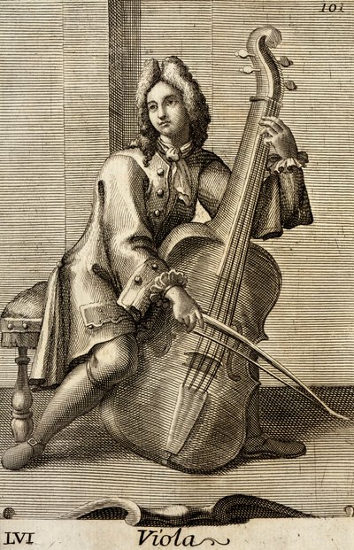 Hombre tocando la viola de Filippo Bonanni