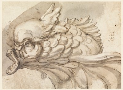 Dibujo, Cabeza de un delfín, ca. 1775 de Filippo Marchionni