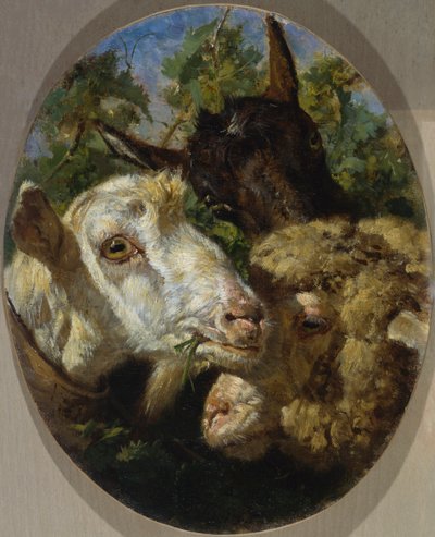 Cabezas de animales de Filippo Palizzi