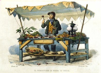 Pequeño oficio de la ciudad de Nápoles: el vendedor de higos chumbos. Grabado después de una pintura de F. Palizza. De una obra de Francesco de Bourcard “Costumi del regno di Napoli” de Filippo Palizzi