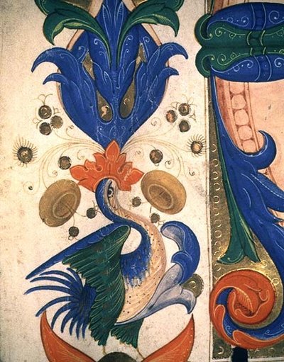 Misal 515 1r Borde foliado zoomorfo, detalle de un libro de coro ejecutado antes de 1449 (detalle) de Filippo di Matteo Torelli