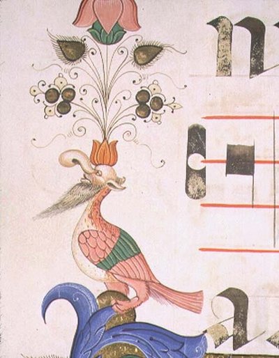 Misal 515 f.120v Pájaro grotesco con cabeza humana, detalle del borde decorativo de un libro de coro ejecutado antes de 1449 de Filippo di Matteo Torelli