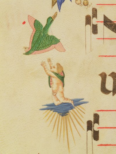 Misal 515 f.13v Querubín con capa tratando de atrapar un pájaro (detalle) de Filippo di Matteo Torelli