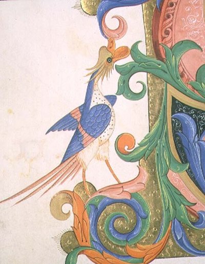 Ave fantástica, detalle de la decoración de una inicial historiada de un Libro de Coro ejecutado antes de 1449 de Filippo di Matteo Torelli